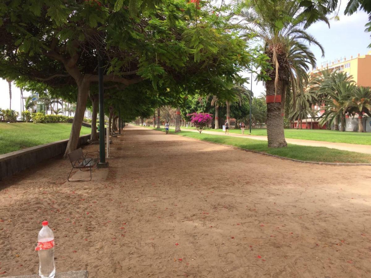 Apartamento Muelle Deportivo Las Palmas de Gran Canaria Dış mekan fotoğraf