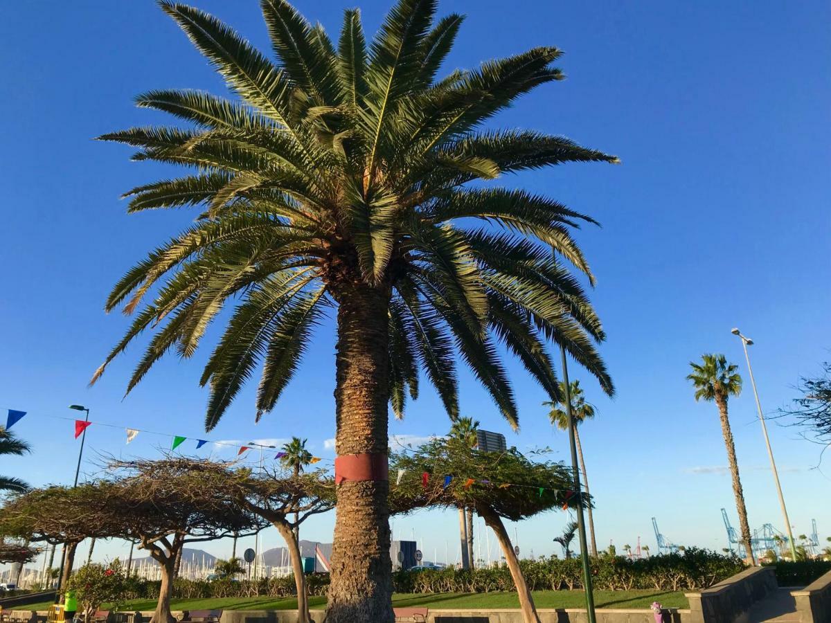 Apartamento Muelle Deportivo Las Palmas de Gran Canaria Dış mekan fotoğraf